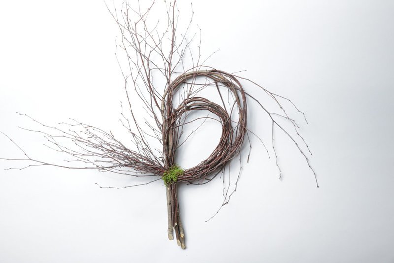 Birch Double Loop Case of 6