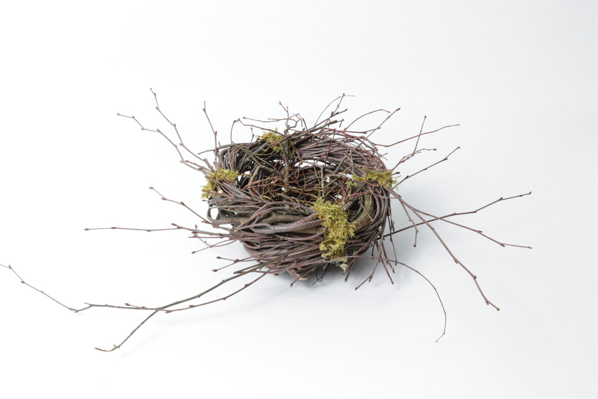Medium Birch Nest Case of 8