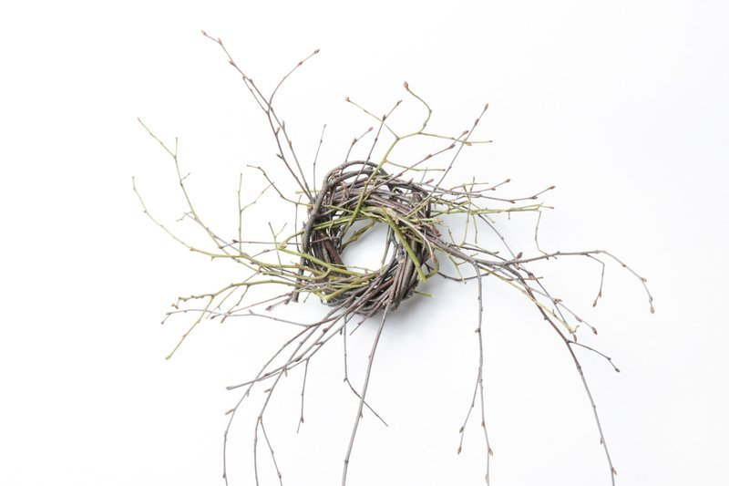 2" Birch/Huck Twist Case of 36