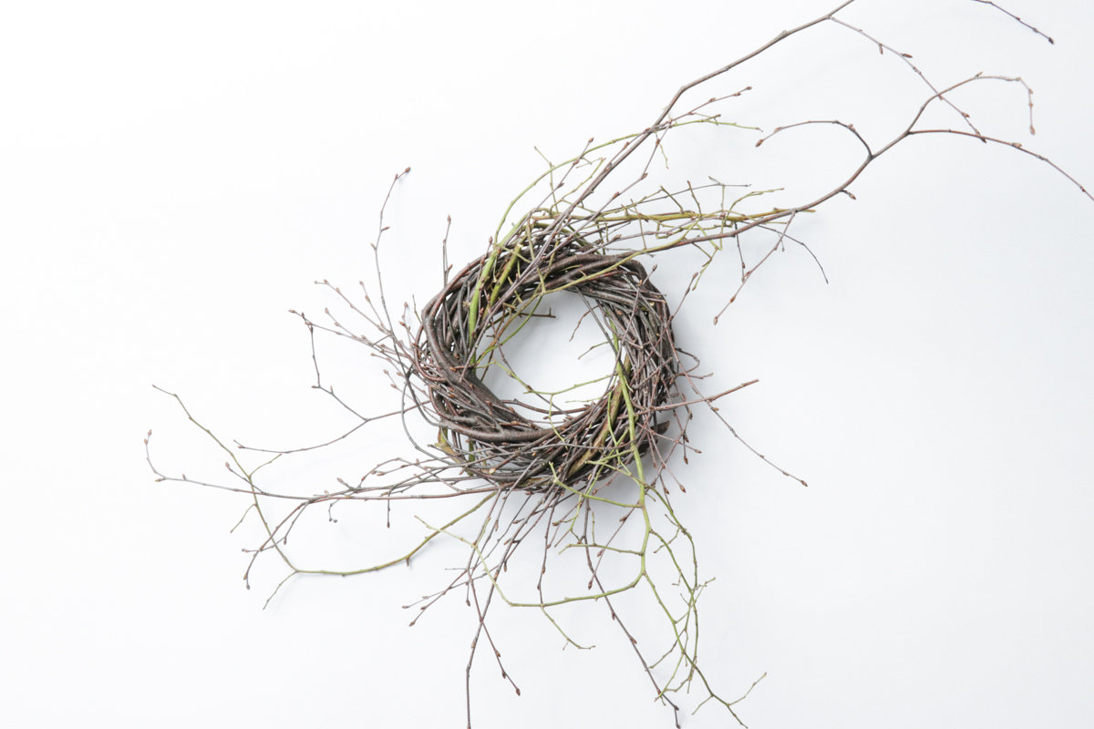 4" Birch/Huck Twist Case of 12