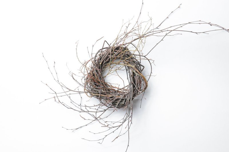 6" Birch/Huck Twist Case of 12