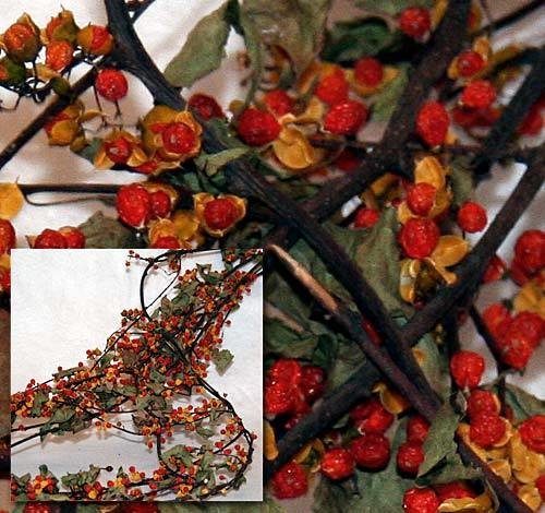 Bittersweet Mixed Pack Wreaths & Bunches- Case of 30