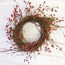 Birch Rosehips Mixed Sizes - Case of 14