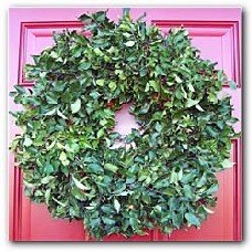 Blue Holly