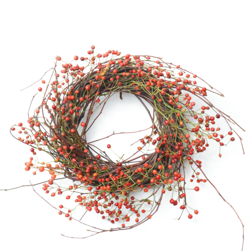 6" Birch/Rosehip - Case of 6