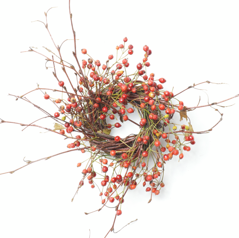 2" Birch/Rosehip - Case of 24