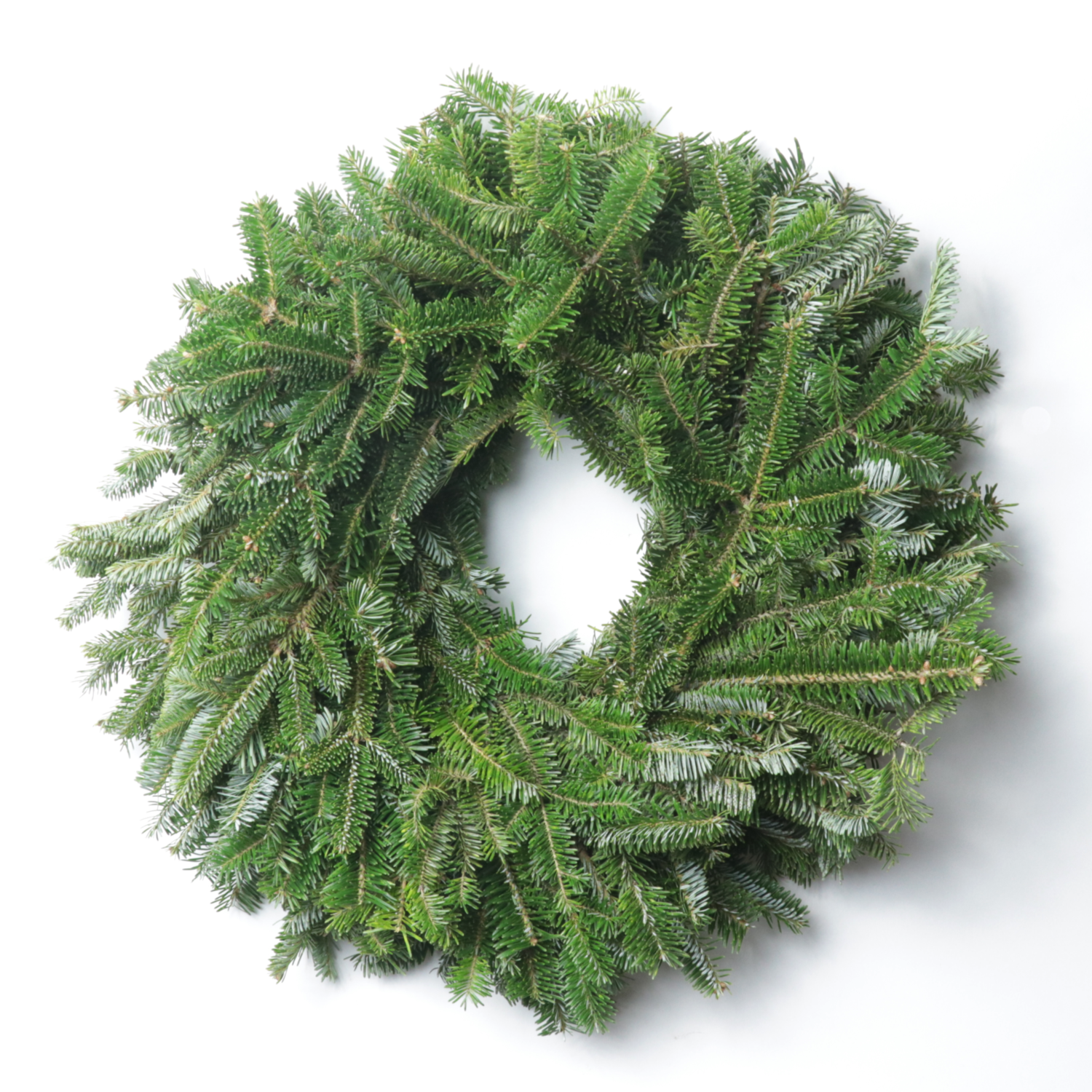 26" Fraser Fir Wreath - Case of 6