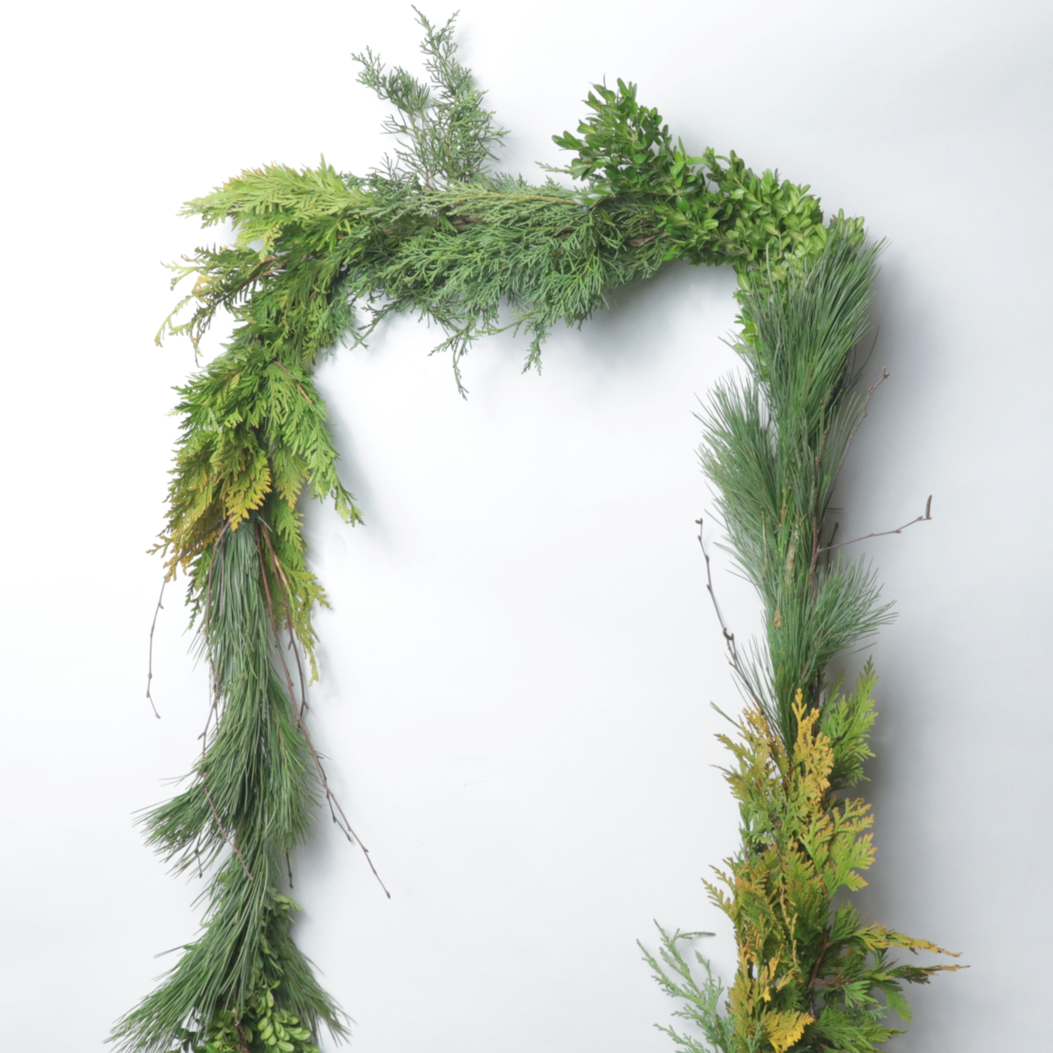 20 Yards #5 Mixed Greens Garland - Case of 2 (Douglas Fir, White Pine, Golden Cedar, Boxwood, Birch)