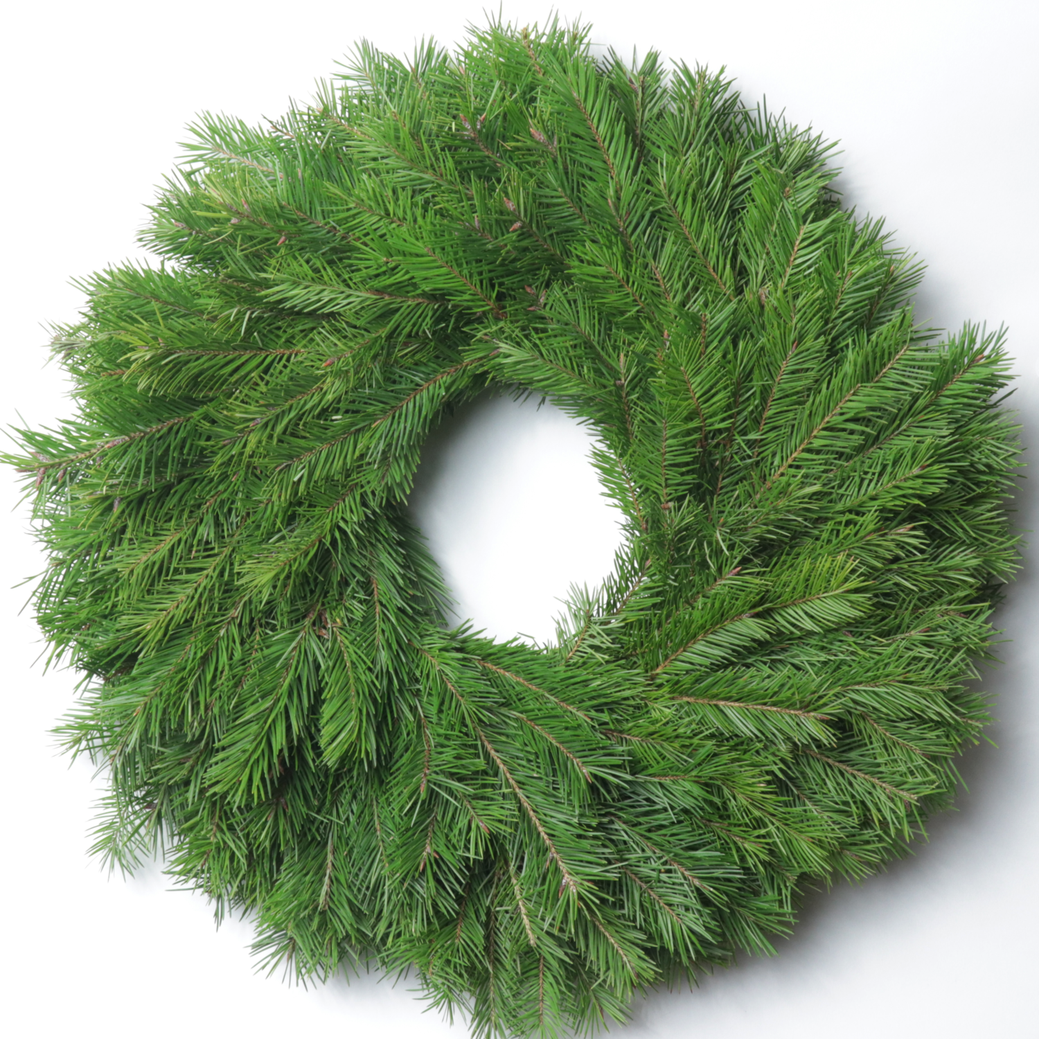 26" Douglas Fir Wreath - Case of 6