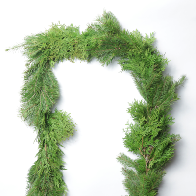 Douglas Fir/Cedar