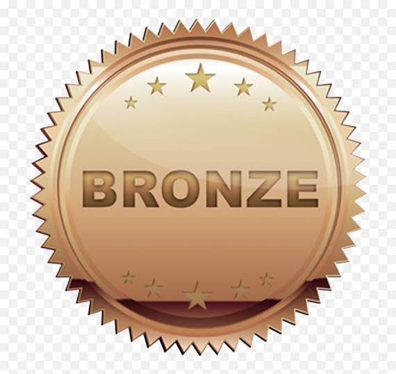Bronze (1 Month 1 on 1 Mentorship)