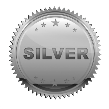 Silver (2 Months 1-on-1 Mentorship)