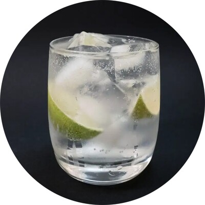 GIN &amp; TONIC (1 shot)