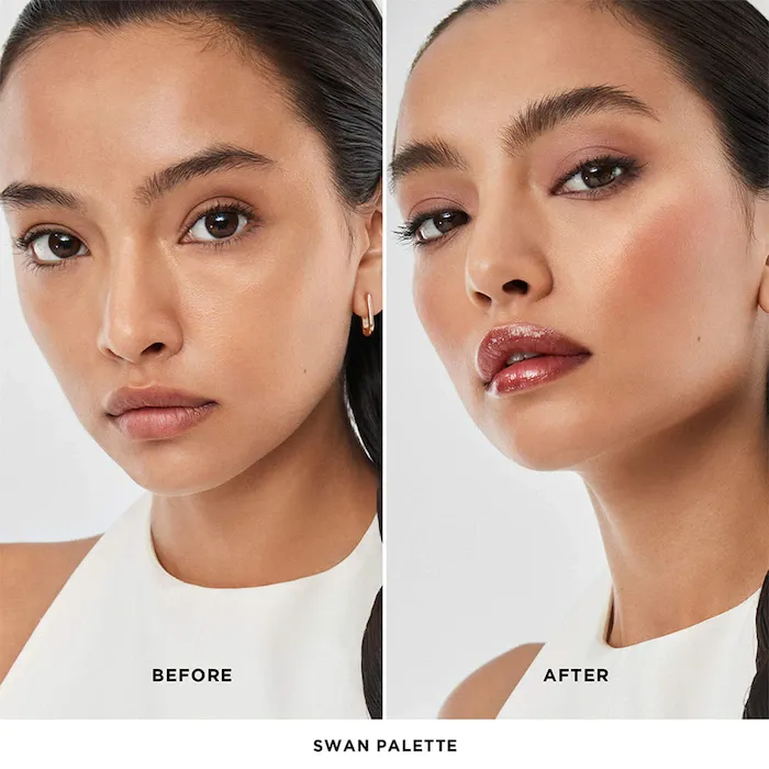 Ambient Lighting Edit Unlocked Palette-Swan