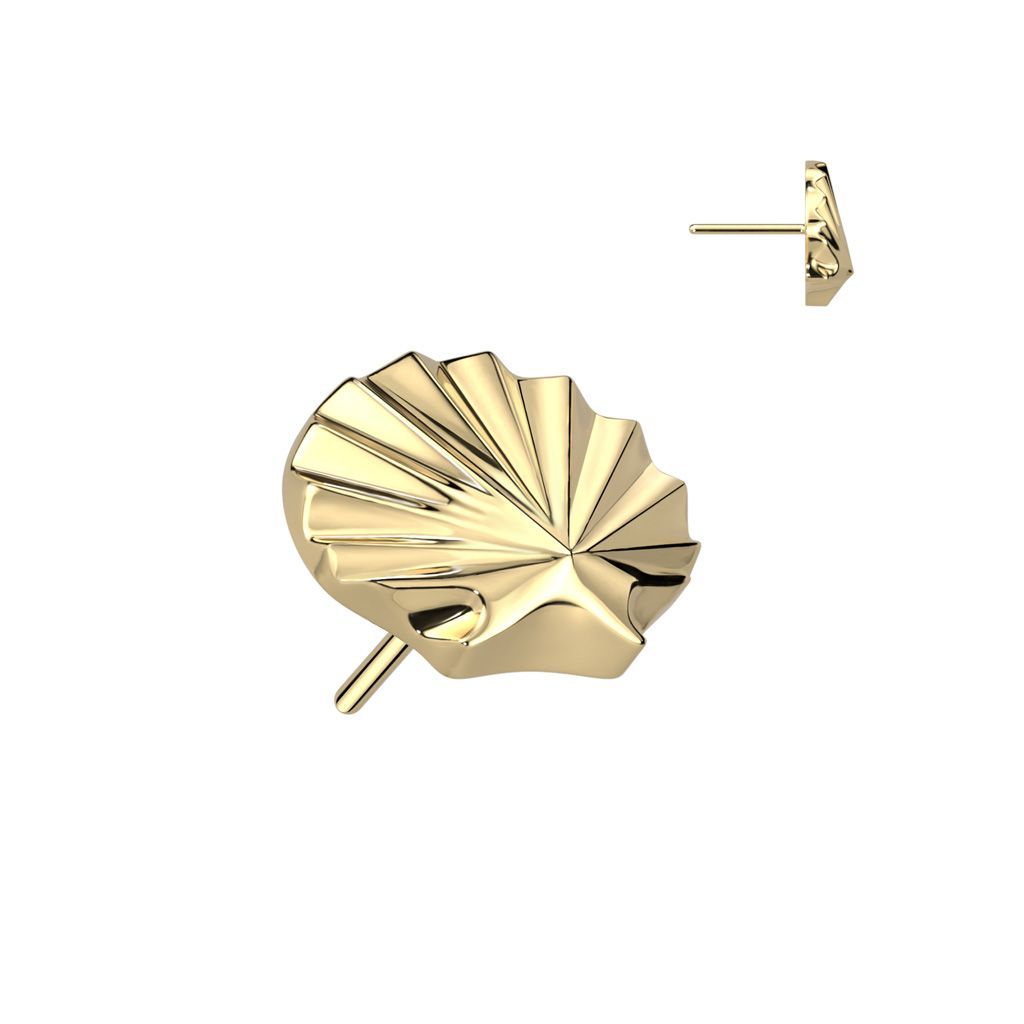 Seashell Flatback (gold)