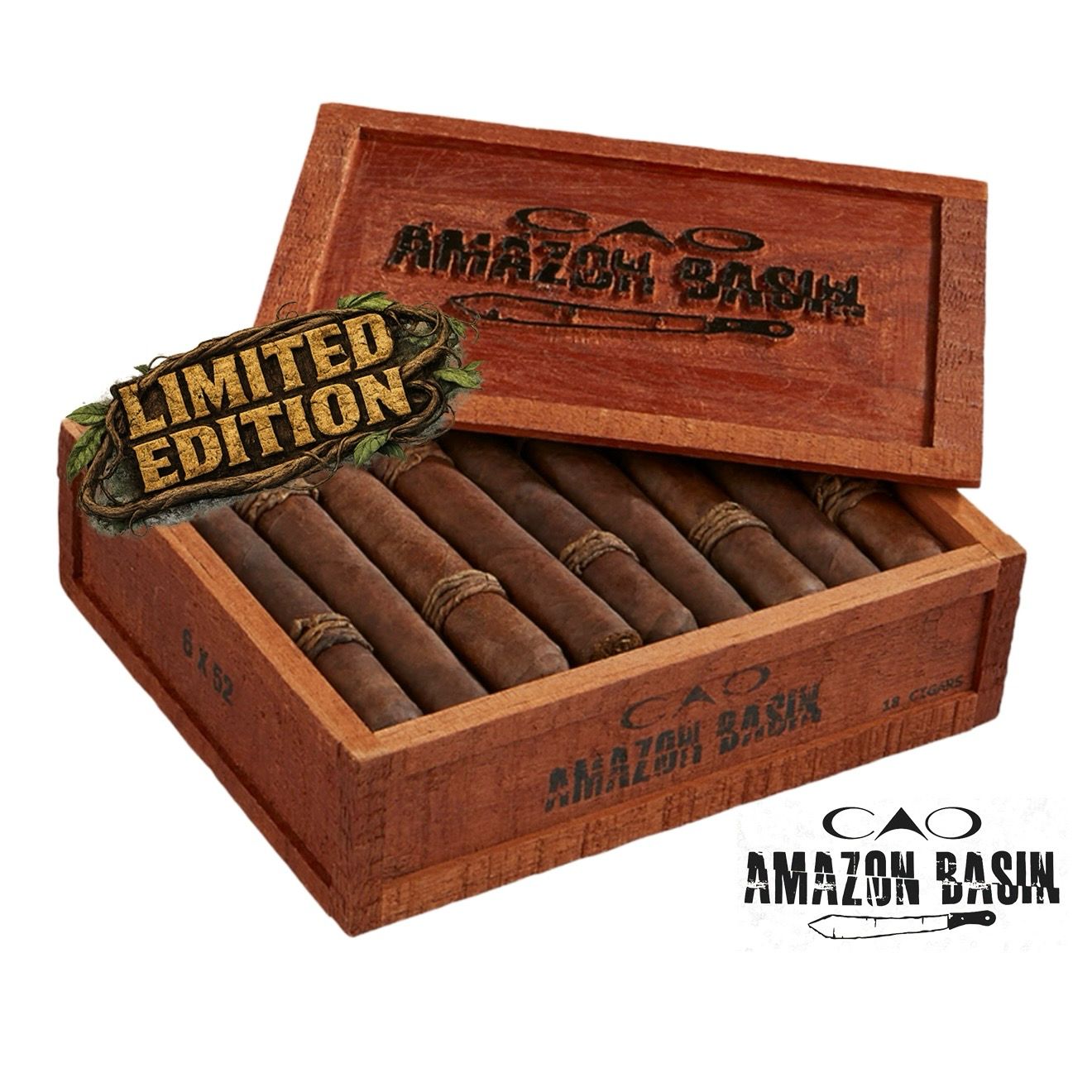 CAO Amazon Basin (2026)