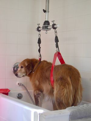 Pet Grooming Supports