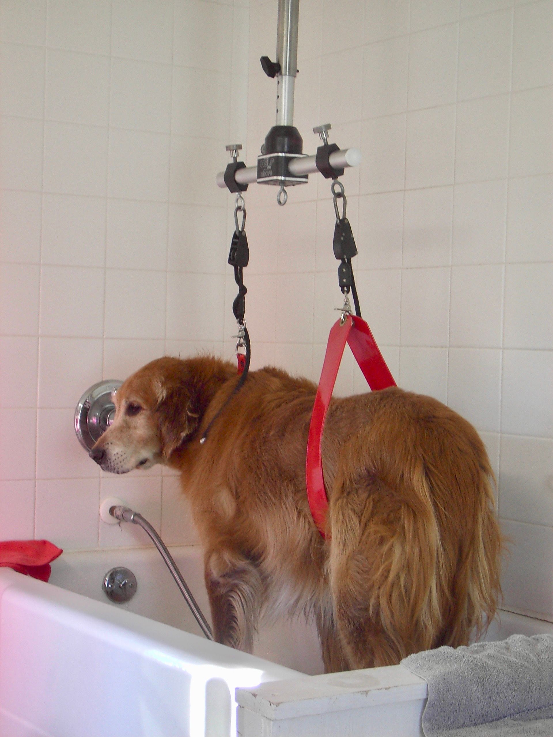 Bath Unit (Ceiling Mounted)