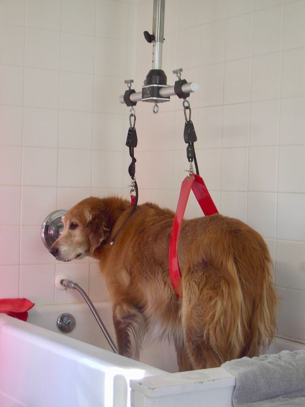 Pet Grooming Supports