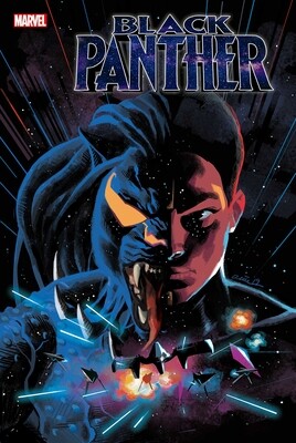 BLACK PANTHER #21
MARVEL COMICS
(26th February 2020)