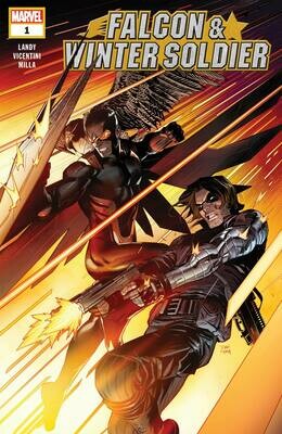 FALCON & WINTER SOLDIER