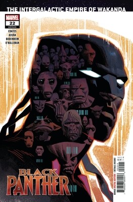 BLACK PANTHER #22
MARVEL COMICS
(11th May 2020)