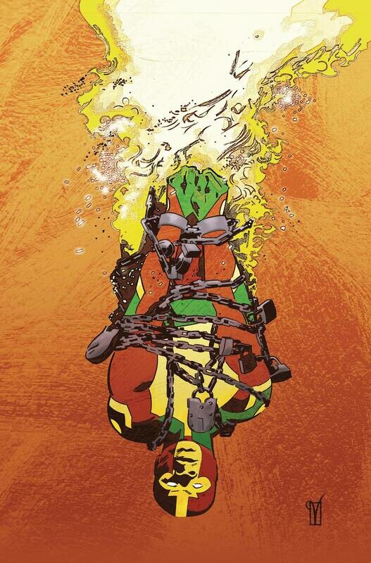 MISTER MIRACLE SOURCE OF FREEDOM #1 CVR B DE LANDRO CARDSTOC
DC COMICS
(26th May 2021)