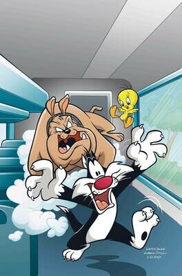 LOONEY TUNES #260
DC COMICS
(26th May 2021)