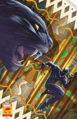 BLACK PANTHER #25 COELLO STORMBREAKERS VAR
MARVEL COMICS
(26th May 2021)