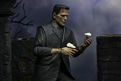 NECA Universal Monsters Ultimate Frankenstein's Monster (Color) 7" Scale Figure