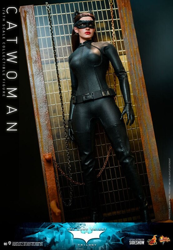 Hot Toys Dark Knight Rises Selina Kyle (Catwoman) 1/6 Figure