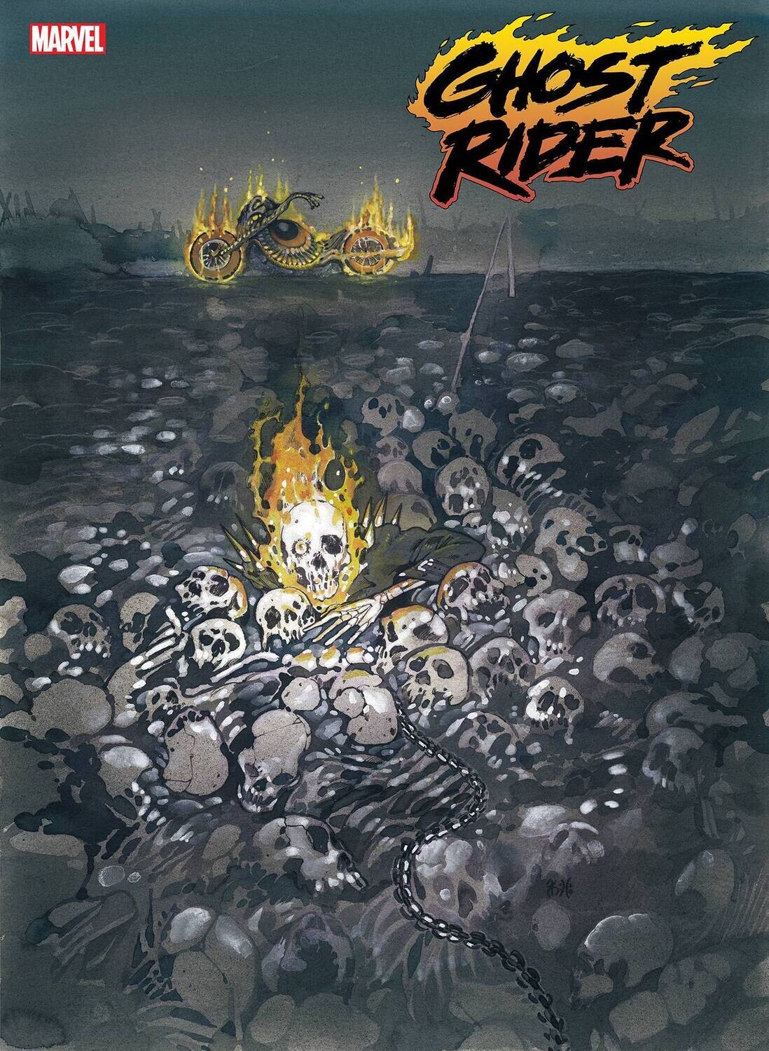 GHOST RIDER #3 MOMOKO STORMBREAKERS VAR
MARVEL COMICS
(1st June 2022)