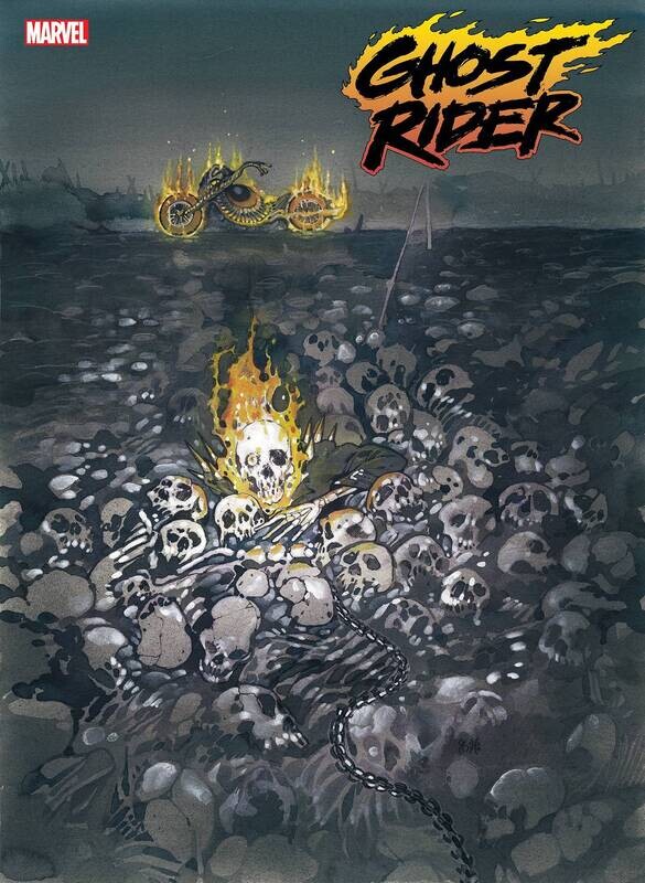 GHOST RIDER #3 MOMOKO STORMBREAKERS VAR
MARVEL COMICS
(1st June 2022)