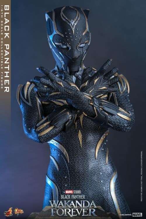 **PRE ORDER** Hot Toys Black Panther (WAKANDA FOREVER) 1/6 Scale Action Figure