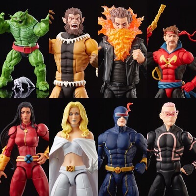 Marvel Legends 6