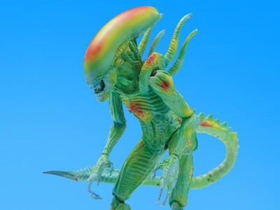 HIYA TOYS: Alien vs. Predator Alien Warrior (Thermal Vision) 1:18 Scale PX Previews Exclusive Figure