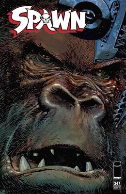SPAWN #347 CVR A PANOSIAN
IMAGE COMICS
(15th November 2023)