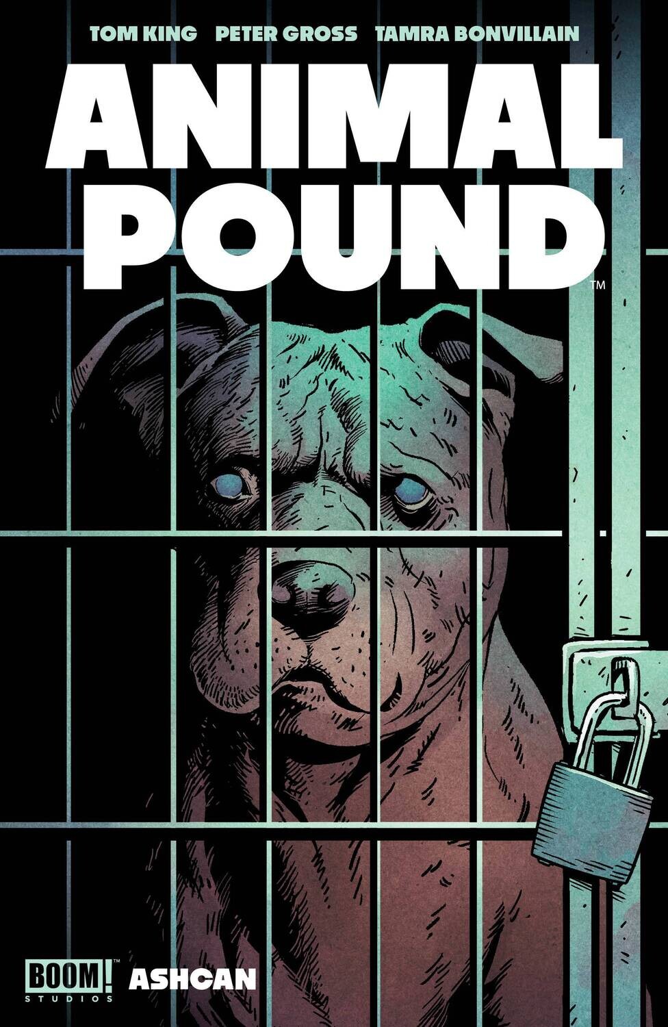 ANIMAL POUND CVR A ASHCAN GROSS
BOOM! STUDIOS
(15th November 2023)