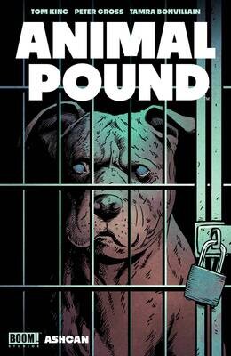ANIMAL POUND CVR A ASHCAN GROSS
BOOM! STUDIOS
(15th November 2023)