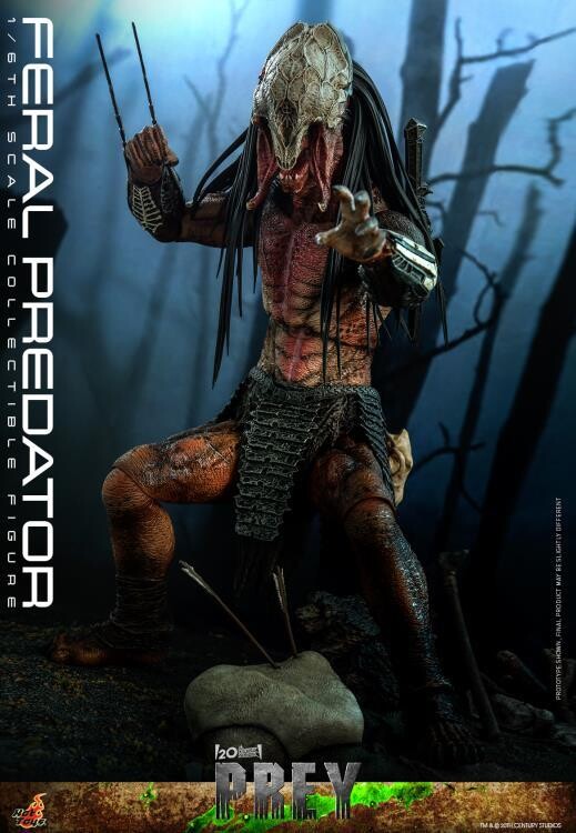 **PRE ORDER** Hot Toys Feral Predator 1/6th Scale Collectible Figure (Prey)
