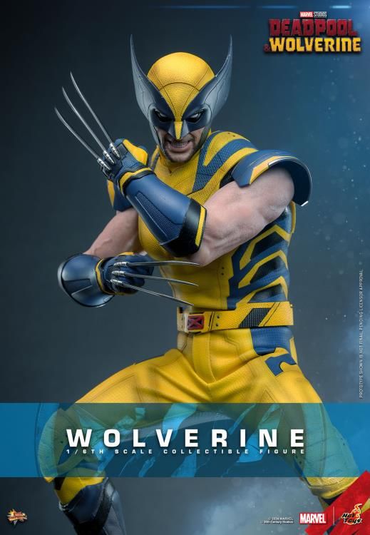 **PRE ORDER** HOT TOYS 1/6 WOLVERINE (DEADPOOL AND WOLVERINE VER) COLLECTOR EDITION