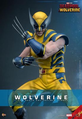 **PRE ORDER** HOT TOYS 1/6 WOLVERINE (DEADPOOL AND WOLVERINE VER) COLLECTOR EDITION