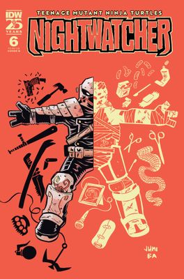 TEENAGE MUTANT NINJA TURTLES NIGHTWATCHER #6 CVR B BA IDW (5th March 2025)