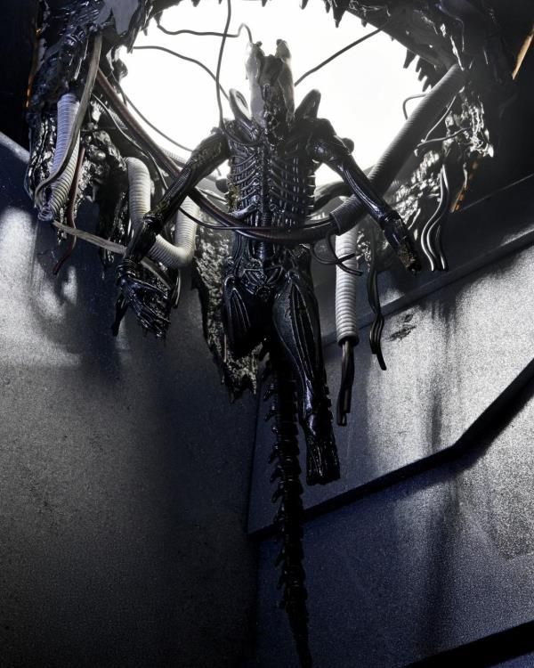 ***PRE ORDER*** NECA 7" Scale Alien: Romulus Suspended Lab Xenomorph XX121 Deluxe Action Figure Set