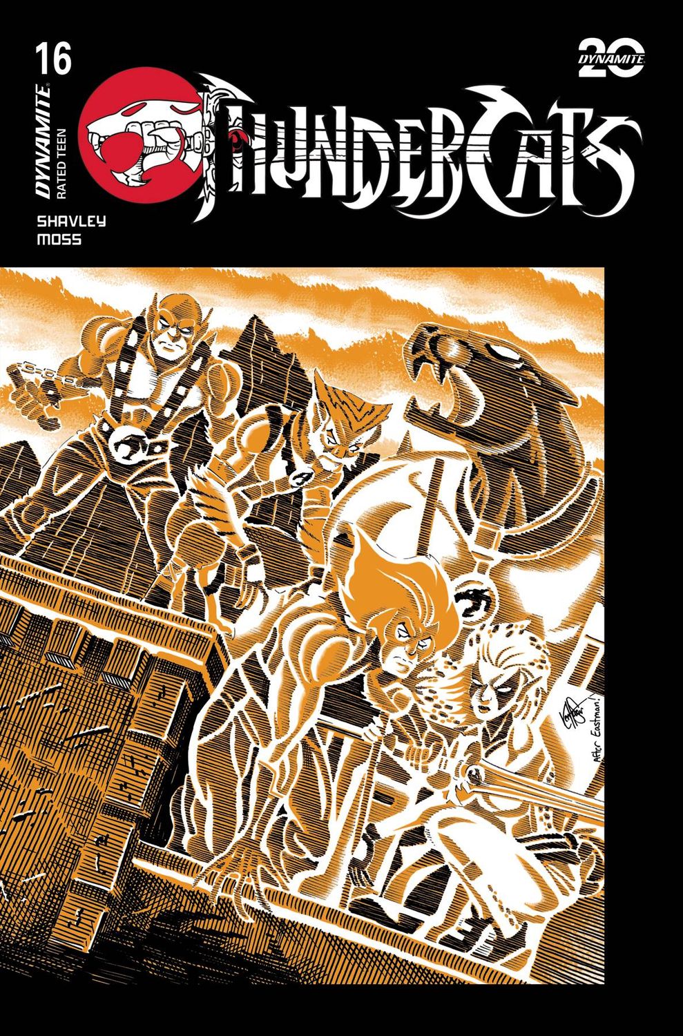THUNDERCATS #16 CVR G HAESER TMNT HOMAGE DYNAMITE (24th July 2025)