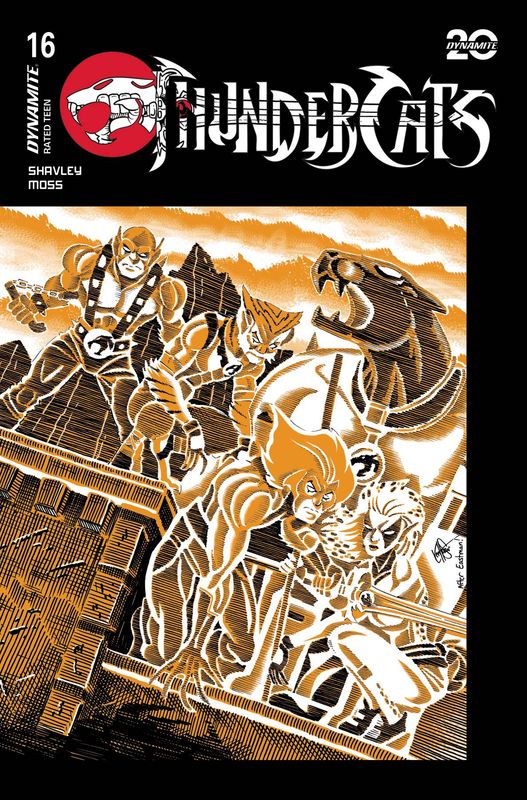 THUNDERCATS #16 CVR G HAESER TMNT HOMAGE DYNAMITE (24th July 2025)