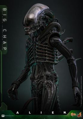 ***PRE ORDER*** Hot Toys Alien Big Chap Xenomorph