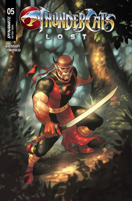 THUNDERCATS LOST #5 CVR C HETRICK DYNAMITE (20th August 2025)
