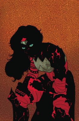 ABSOLUTE WONDER WOMAN #11 CVR A HAYDEN SHERMAN DC COMICS (27th August 2025)