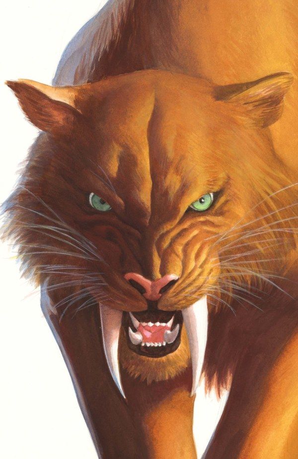BLACK CAT #2 ALEX ROSS TIMELESS VIRGIN VAR MARVEL COMICS (24th September 2025)